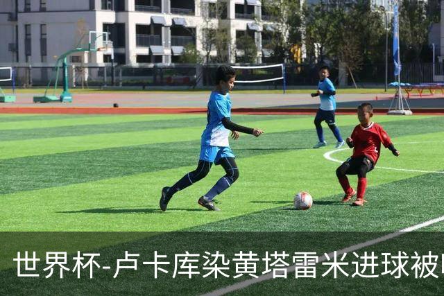 世界杯-卢卡库染黄塔雷米进球被吹 比利时半场0-0伊朗