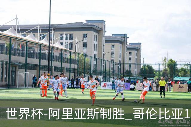 世界杯-阿里亚斯制胜 哥伦比亚1-0加纳进16强战瑞士